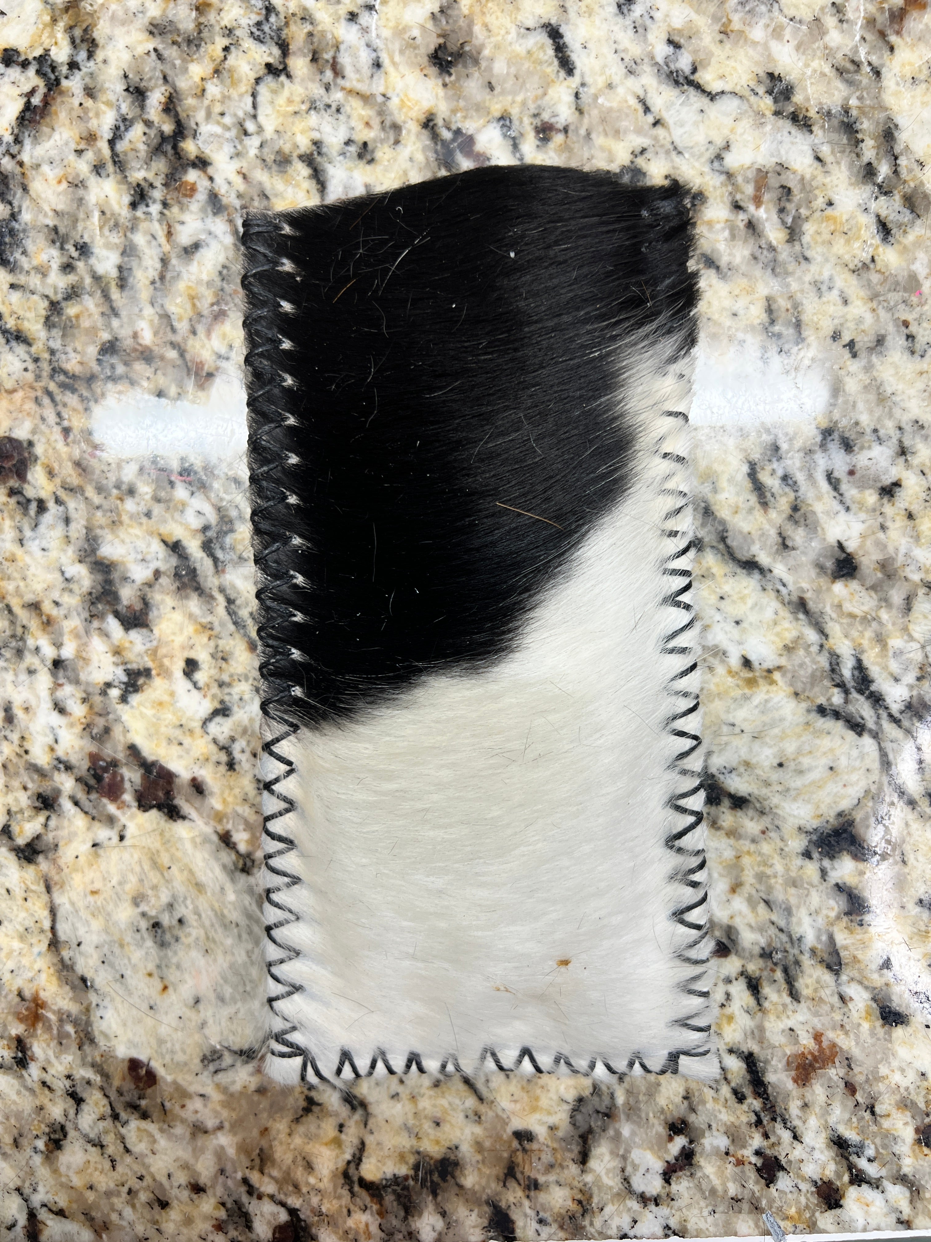 Cactus sunglasses case
