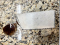 White cowhide sunglasses case
